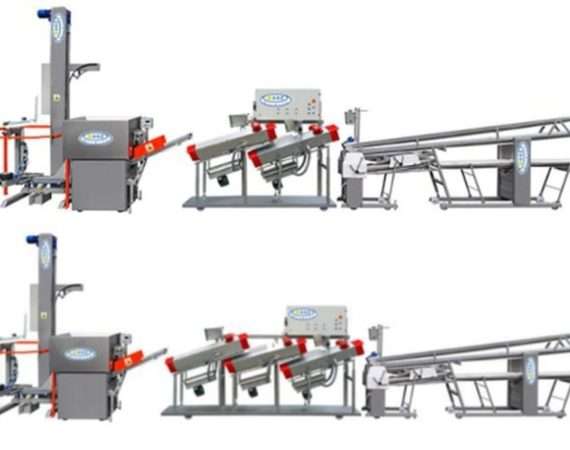 Bread Production Line - Bakery Line for Bread