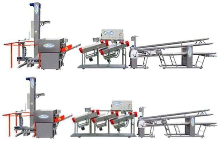 Bread Production Lines - Bakery Line for Bread