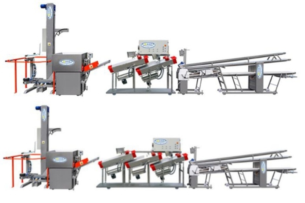 Bread Production Line - Bakery Line for Bread